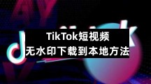 抖音短视频app专区TikTok短视频无水印下载到本地方法